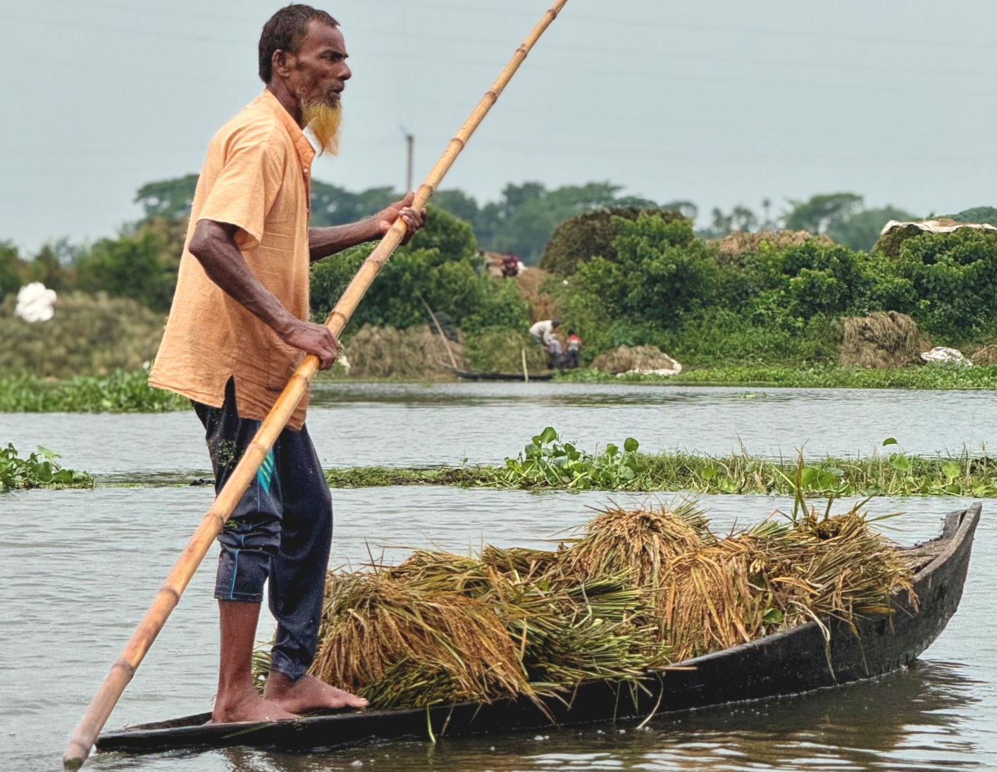 Haor farmer related story thumbnail